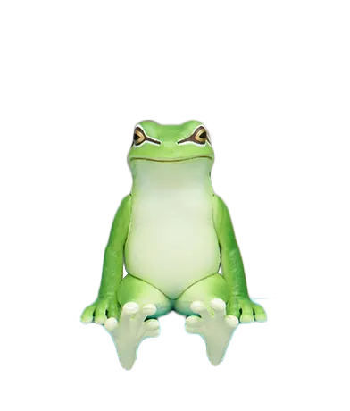 座る蛙 ラインナップ 2