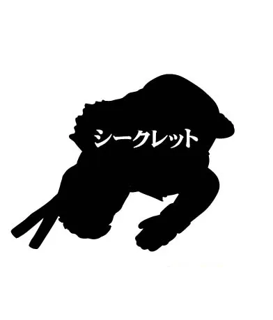 シリーズ生きる ─ 特別編─ ストリートファイターⅡ土下座ストラップ 挑戦者乱入編 ラインナップ 10