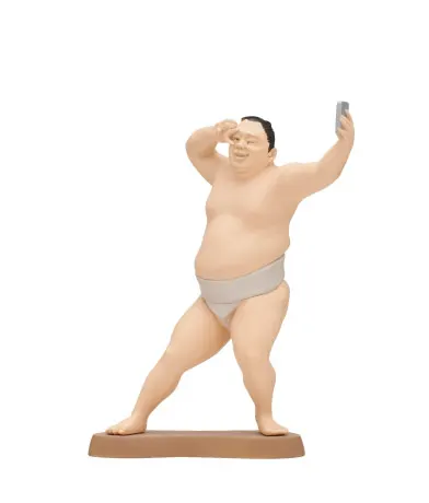 大相撲のフィギュア ラインナップ 6