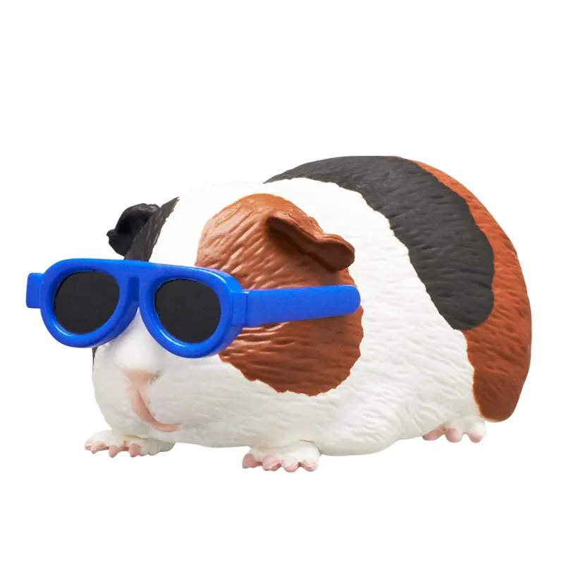 サングラスをかけたモルモット ラインナップ 4