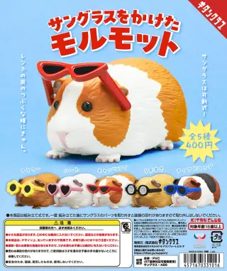 サングラスをかけたモルモットの画像