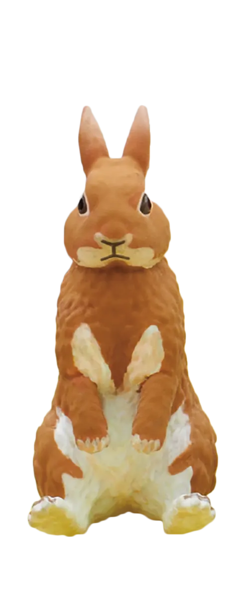座る兎 ラインナップ 2