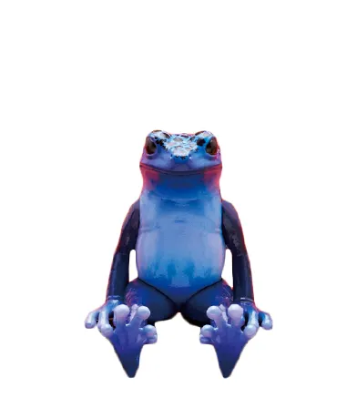 座る蛙（ヤドクガエル） ラインナップ 4