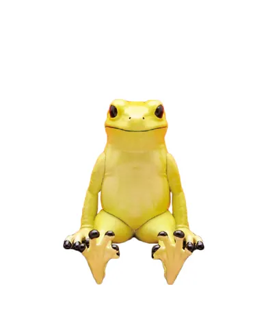 座る蛙（ヤドクガエル） ラインナップ 5