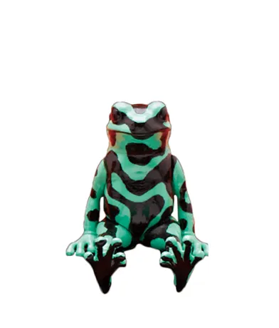 座る蛙（ヤドクガエル） ラインナップ 7