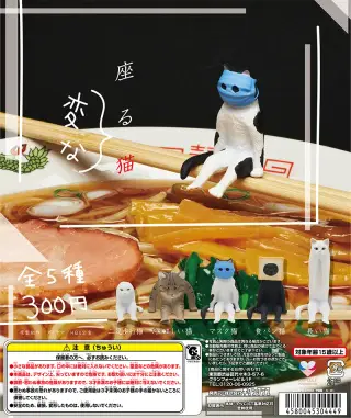 座る変な猫の画像