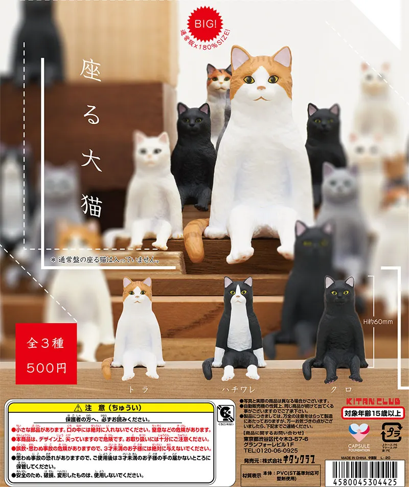 座る大猫(画像)