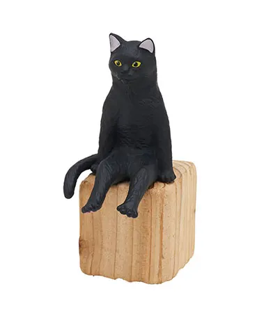 座る大猫 クロ