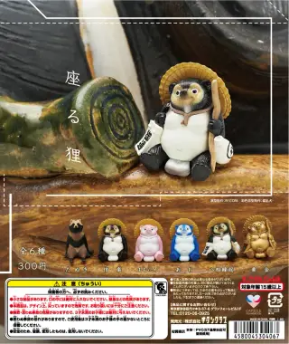 座る狸の画像
