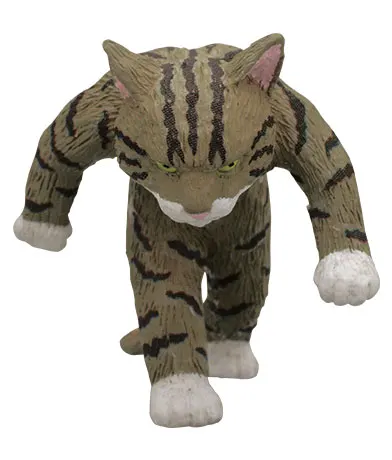 たくましい猫 ラインナップ 2