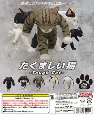 たくましい猫の画像