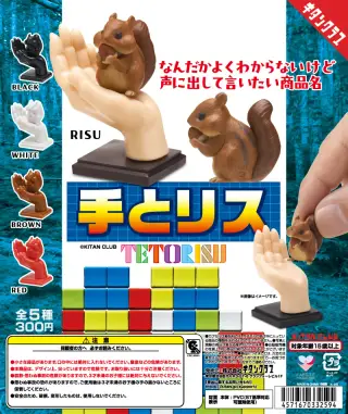 手とリスの画像