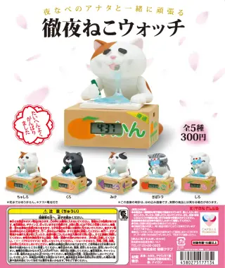 徹夜ねこウォッチの画像