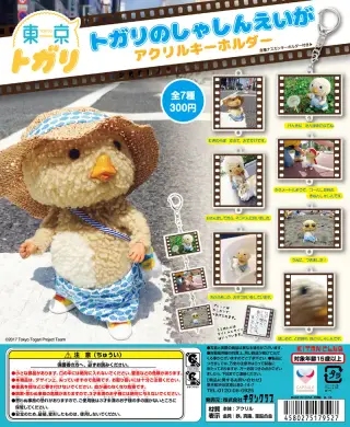 東京トガリ トガリのしゃしんえいが アクリルキーホルダーの画像