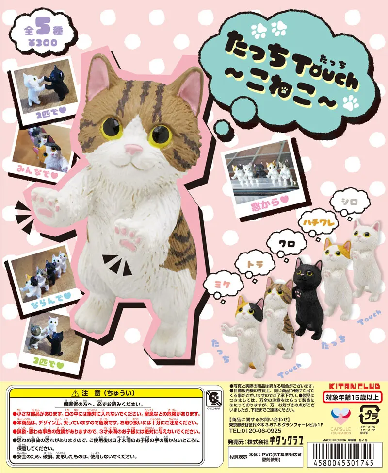 たっちTouch〜こねこ〜(画像)