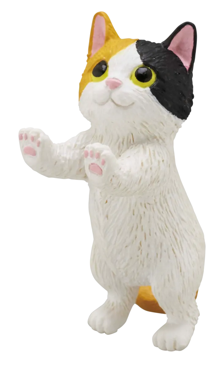 たっちTouch〜こねこ〜 ラインナップ 2
