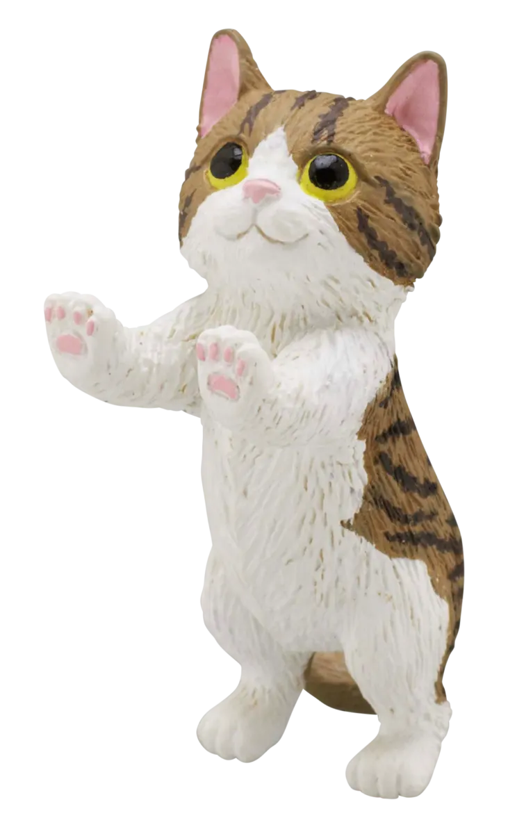 たっちTouch〜こねこ〜 ラインナップ 3