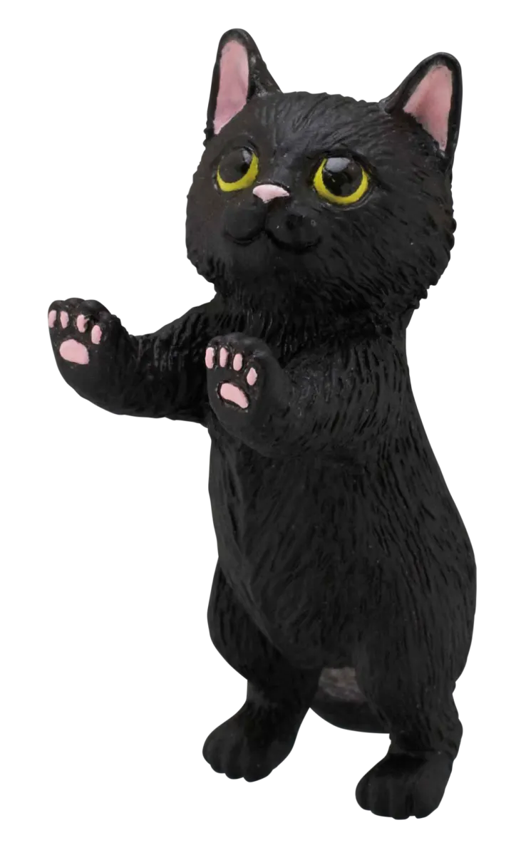 たっちTouch〜こねこ〜 ラインナップ 5