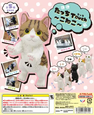 たっちTouch〜こねこ〜の画像