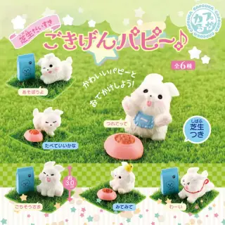 芝生だいすき ごきげんパピー♪の画像