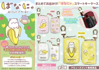 スマートキーケースの画像