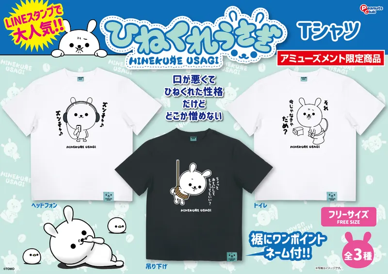 Tシャツ(BOX付)(画像)