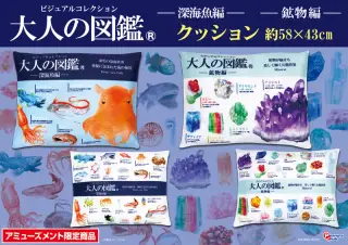 BIGクッションの画像