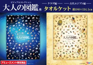 BIGタオルケットの画像
