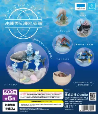 カプリウムコレクション 沖縄美ら海水族館の画像