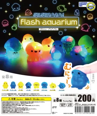 フラッシュアクアリウムの画像