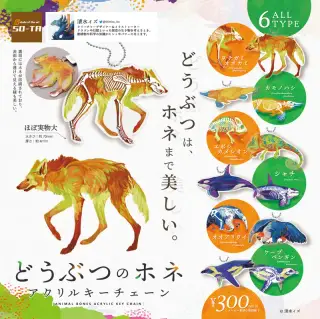 どうぶつのホネ アクリルキーチェーンの画像