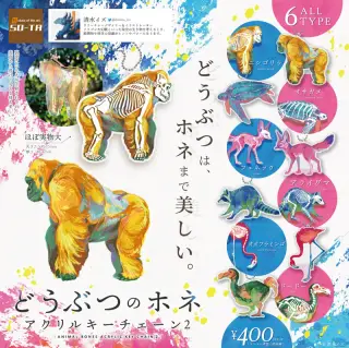 どうぶつのホネ アクリルキーチェーン 2の画像