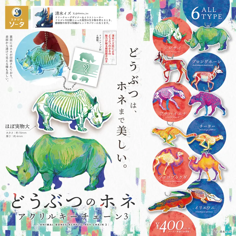 どうぶつのホネ アクリルキーチェーン 3(画像)