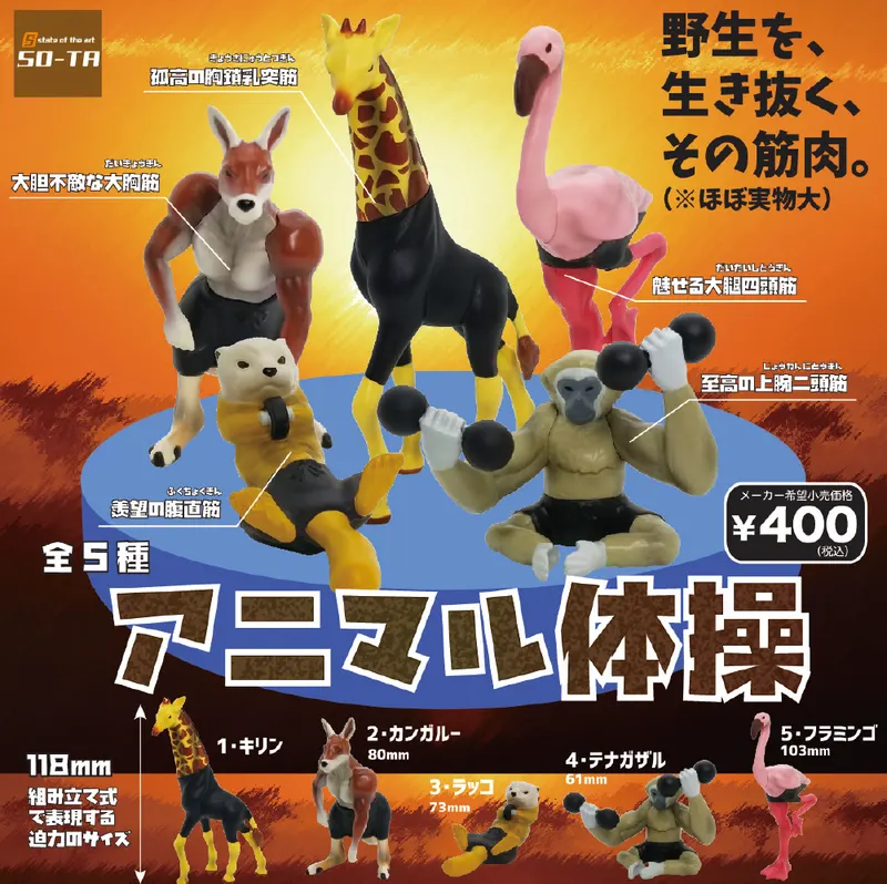 アニマル体操(画像)