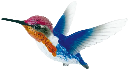 1/1 マメハチドリ ラインナップ 2