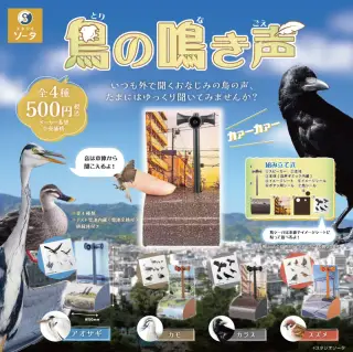 鳥の鳴き声の画像