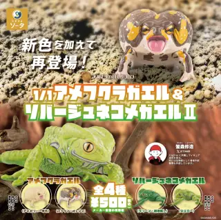 1/1 アメフクラガエル＆ソバージュネコメガエル2の画像