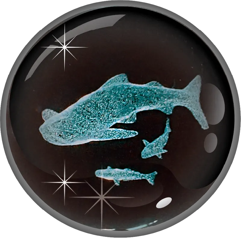 クリスタルライトボール 海洋生物 ラインナップ 3