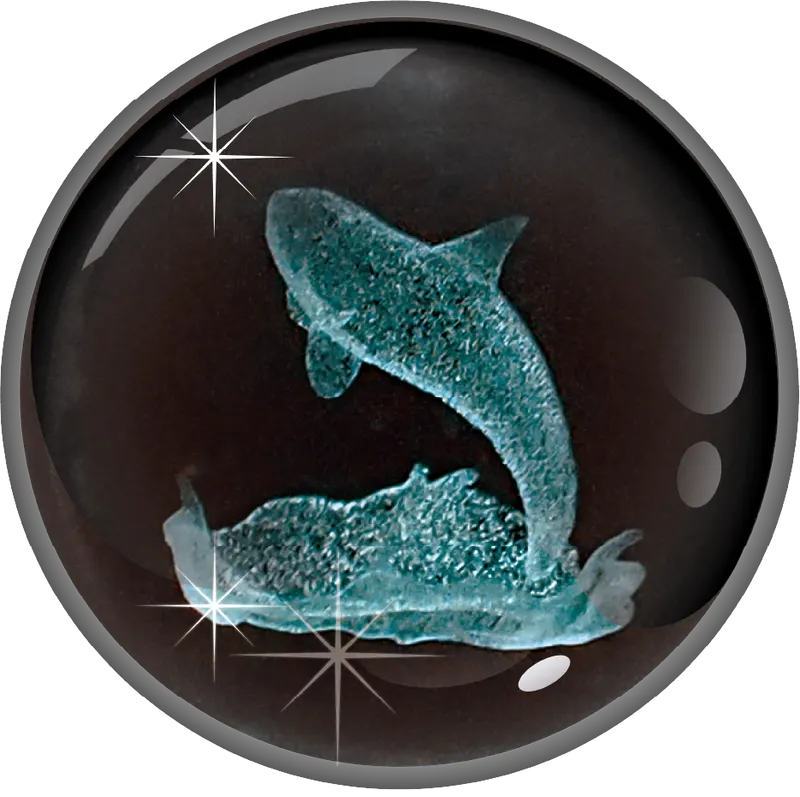 クリスタルライトボール 海洋生物 ラインナップ 5