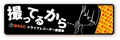 ドラレ娘 ラインナップ 6