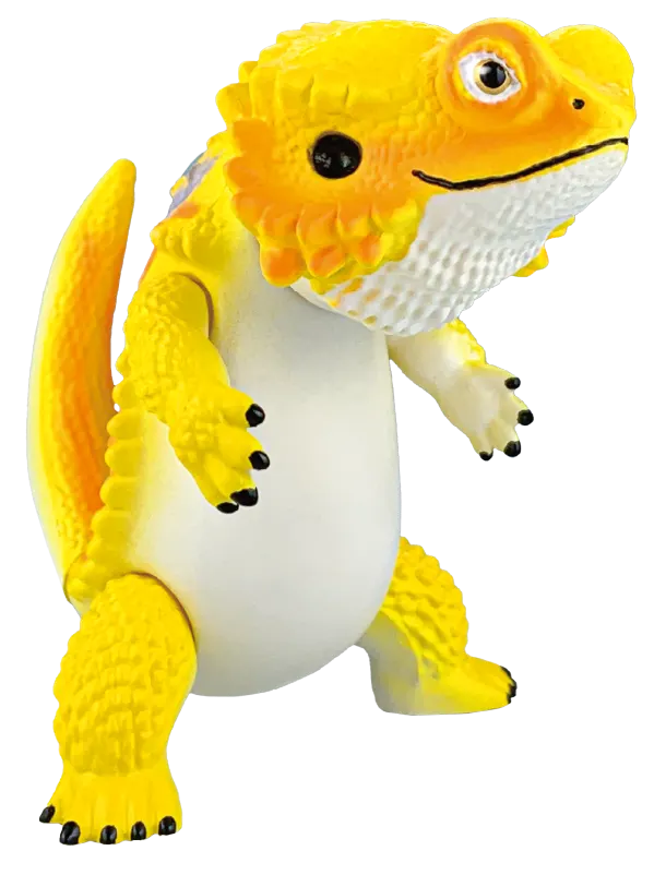 フトアゴン ラインナップ 2