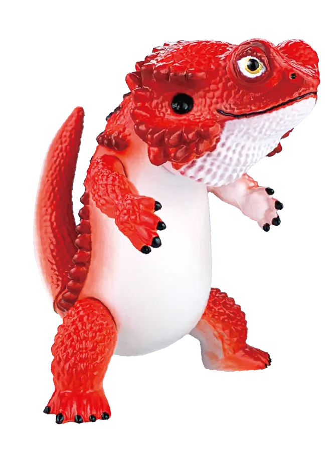 フトアゴン ラインナップ 3