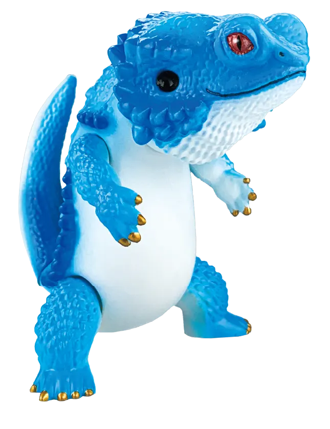 フトアゴン ラインナップ 5