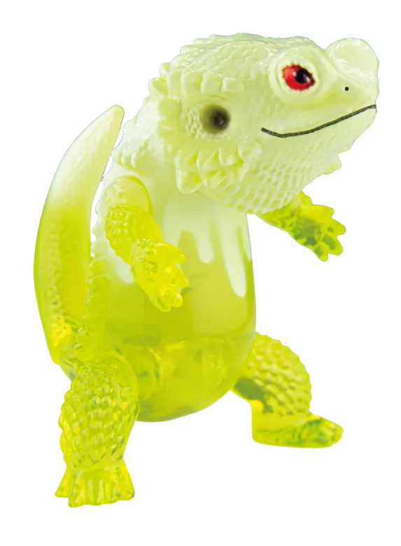 フトアゴン 2 ラインナップ 5