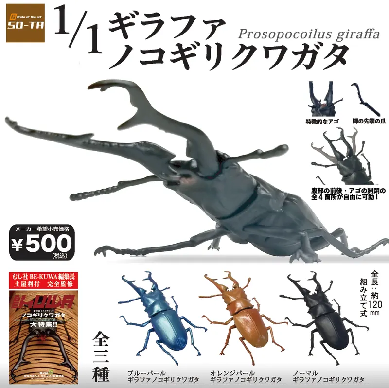 1/1 ギラファノコギリクワガタ(画像)