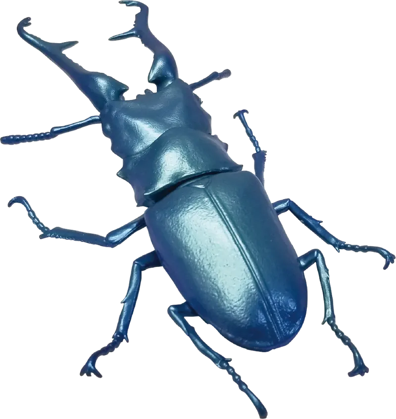 1/1 ギラファノコギリクワガタ ラインナップ 2