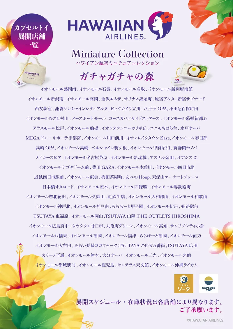 ハワイアン航空ミニチュアコレクション ラインナップ 6