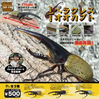 1/1 ヘラクレスオオカブトの画像
