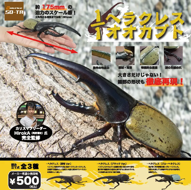 1/1 ヘラクレスオオカブトⅡ(画像)