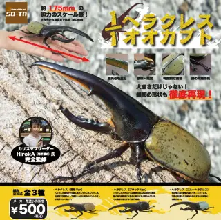 1/1 ヘラクレスオオカブトⅡの画像